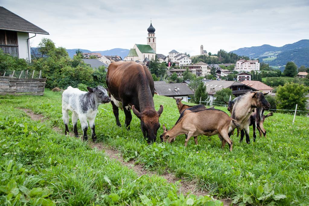 Merlhof Фіє Екстер'єр фото